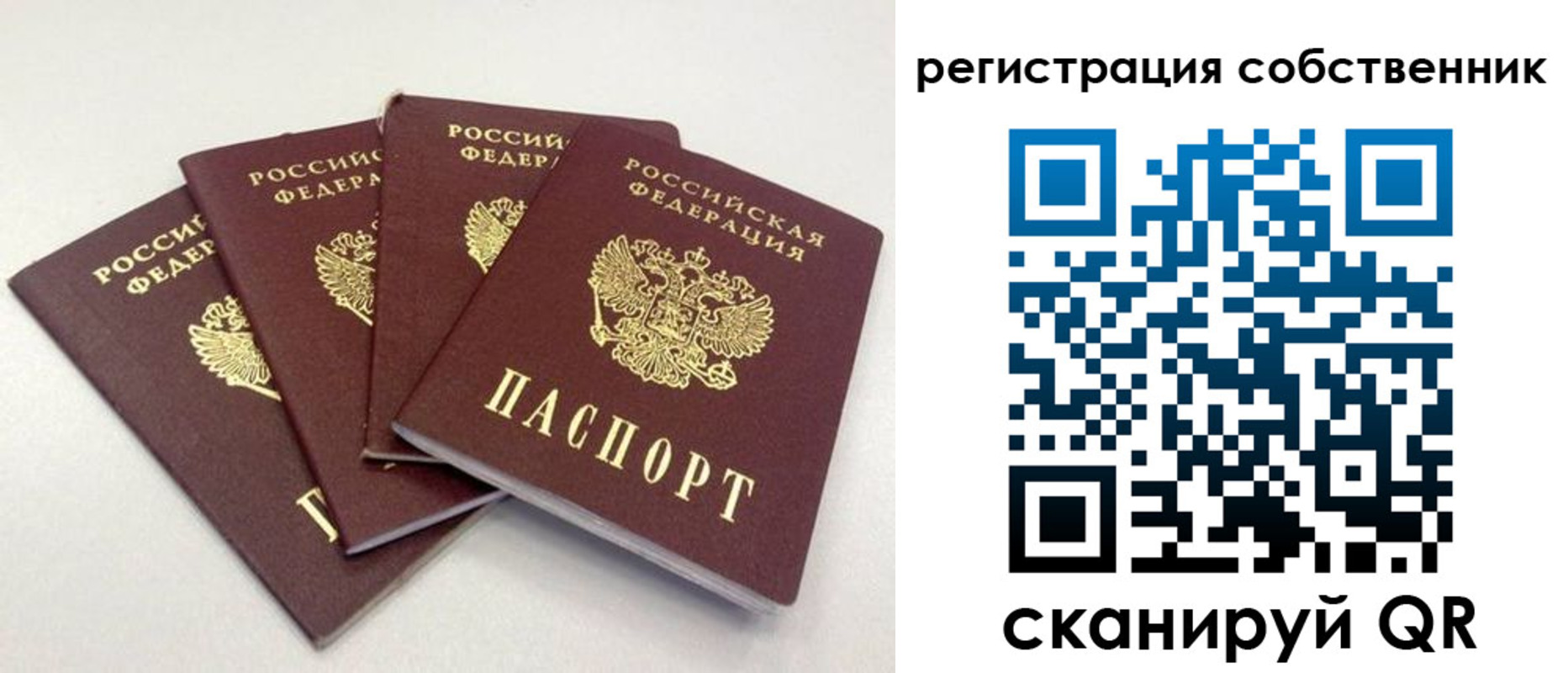 прописка для школы в Вельске